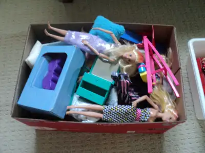 Free Box of Barbie Dolls and Larger Accessories Free, View more