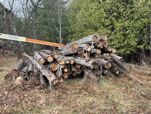 Cedar  Posts in Decks & Fences in Renfrew - Image 2