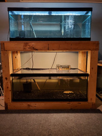 40 gallon aquariums