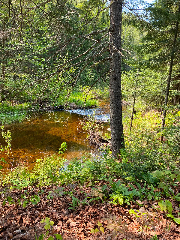 Property Land for Sale Gatineau Kijiji