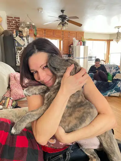 smart loving ❤️large breed, View more