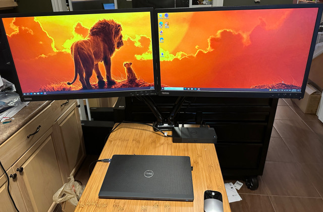  Dual 24 inch Lenovo monitors with dual monitor mount in Monitors in Windsor Region