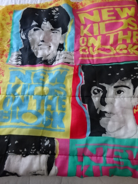 New Kids on the Block Sleeping Bag in Arts & Collectibles in City of Toronto