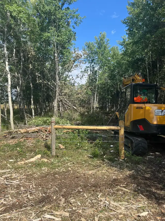 Mulching and Heavy Brushing 62864358366723121