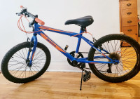 18 inch boy bike for ages 5-8 years
