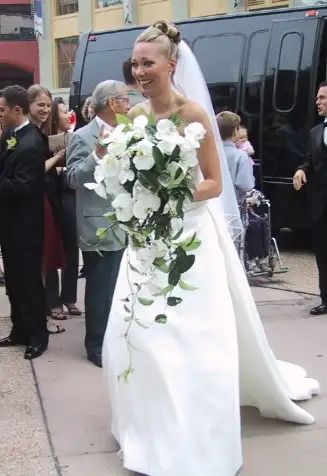 Elegant Demetrios wedding gown in Wedding in Saskatoon - Image 2