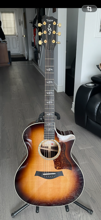 TAYLOR ACOUSTIC / ELECTRIC GUITAR, View more