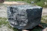 Limestone block , NW Ontario