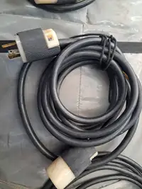 Cable 10' TL3 twist lock 