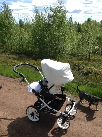 Emmaljunga stroller from Sweden, View more