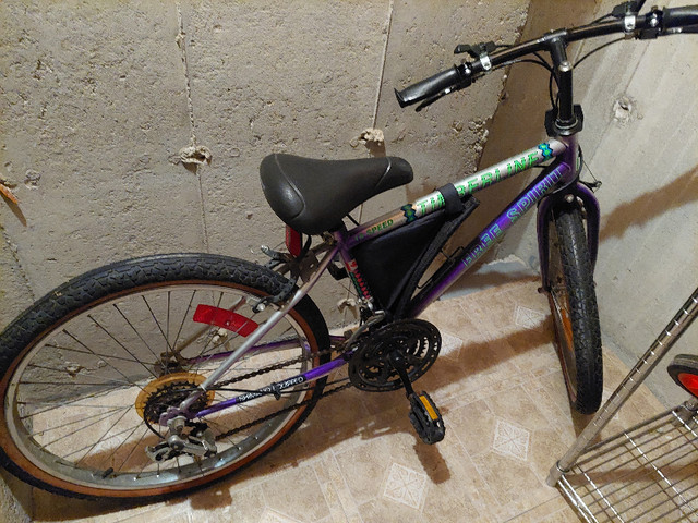 Bicycle for sale in Road in Markham / York Region - Image 2