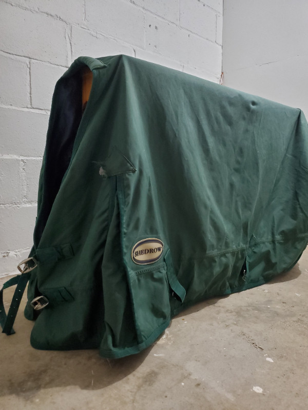 Green Shedrow Winter Blanket in Equestrian & Livestock Accessories in Markham / York Region