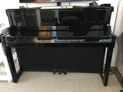 Roland LX-17 Piano for sale - Excellent condition. $3500*, View more