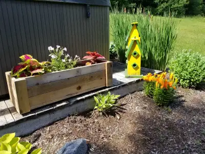 Medium Cedar Planter; 1 left, more in spring!, View more