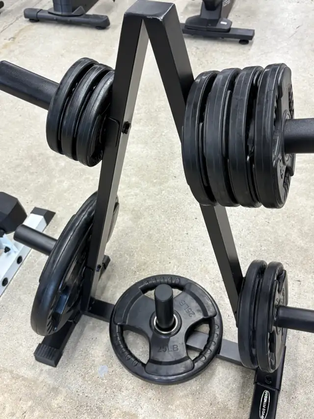Olympic barbell weight plates (2.5 - 45lb) | Exercise Equipment ...