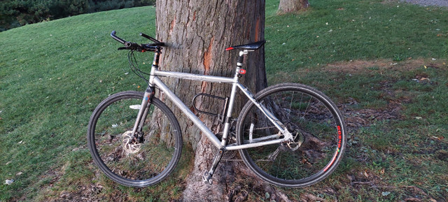 Hybrid bicycle (custom) dans Randonnée, ville et hybrides  à Ville de Montréal