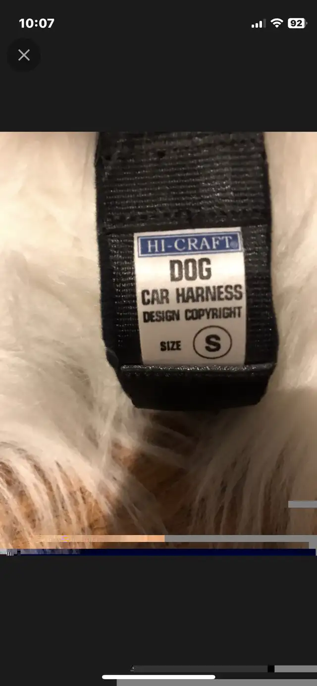 Dog Car Harness in Accessories in Barrie - Image 4