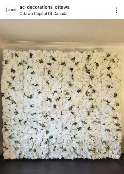 White Flower Wall/Backdrop for rent, View more