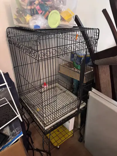 Trois cages différentes!, View more