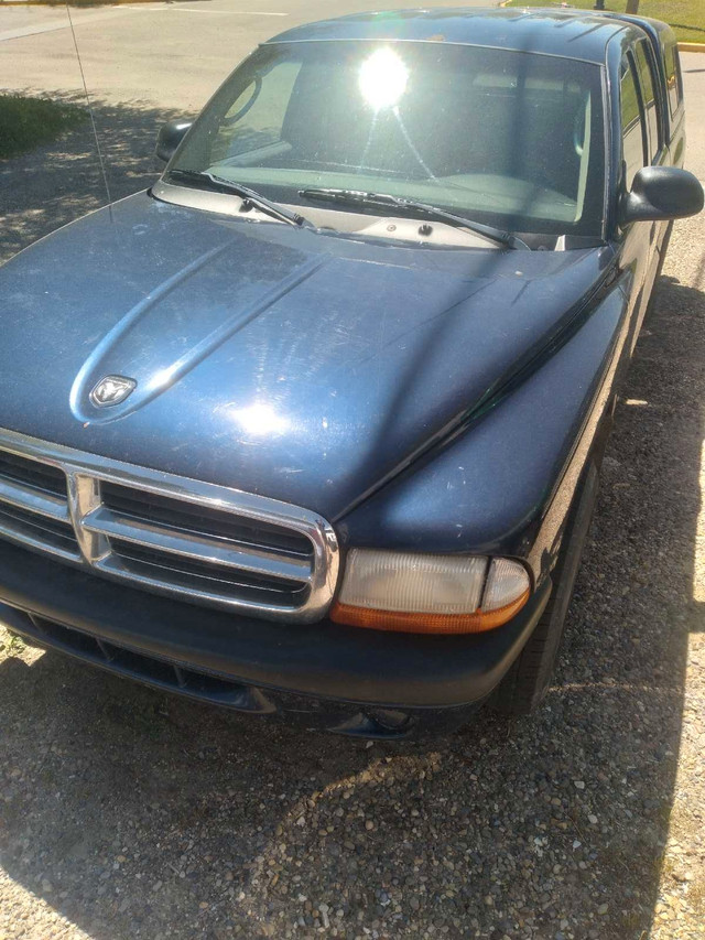 Dodge Dakota in Cars & Trucks in Red Deer