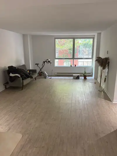 Downtown big 3 1/2 appartment