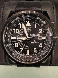 Citizen Promaster Nighthawk