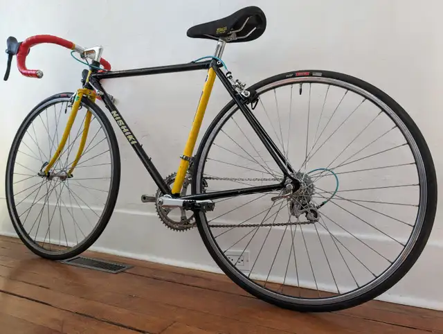 Freshly tuned Nishiki Landau Tri-A road bike 50cm (small) in Road in Calgary - Image 10