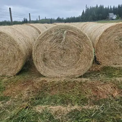 900 LB (weighed) Alfalfa/Grass mix net wrapped hay. No rain, cut early. Good for all livestock. In Q...