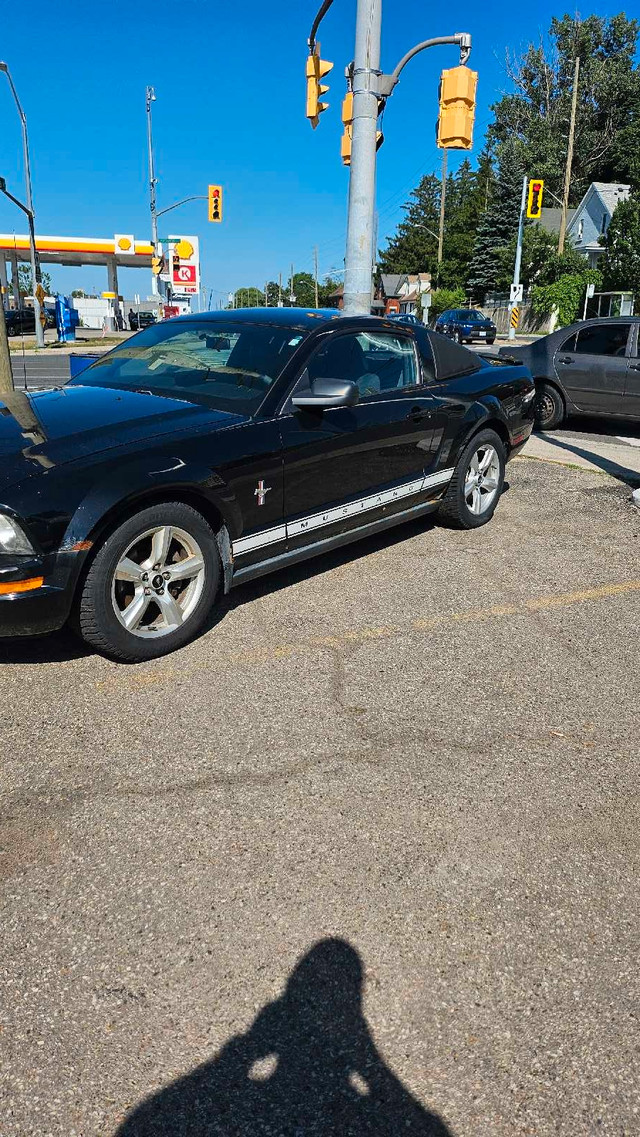 2007 Ford mustang in Cars & Trucks in Kitchener / Waterloo - Image 3