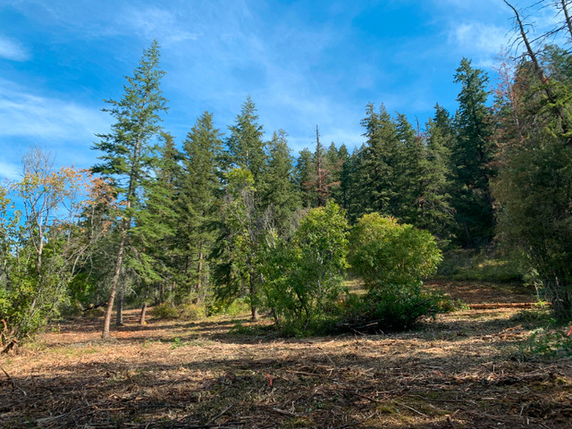 SHUSWAP LAKE VIEW LAND 26 ACRES in Land for Sale in Kamloops - Image 4