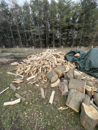 Seasoned Bagged Firewood