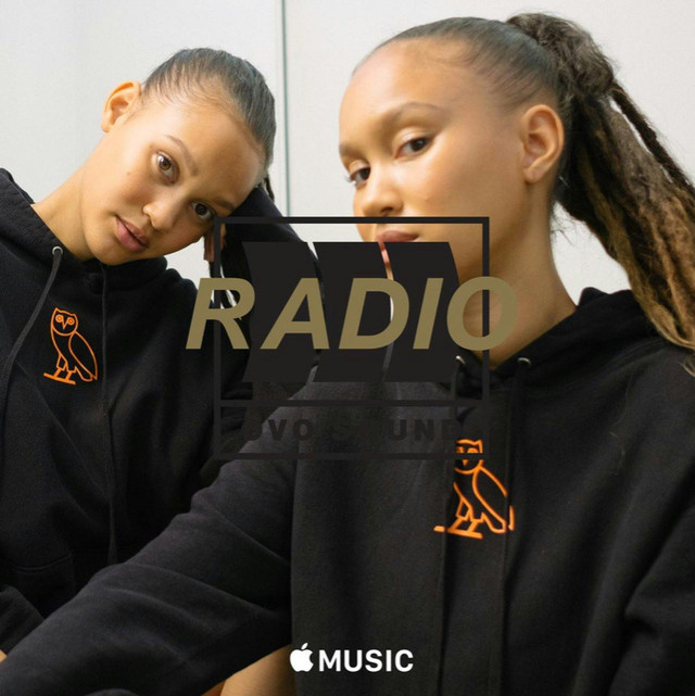 Ovo free top the demons hoodie