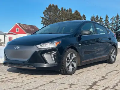 100% électrique 117 000km Garantie transmissible encore 40 000 km ou septembre 2027. Très propre Pne...