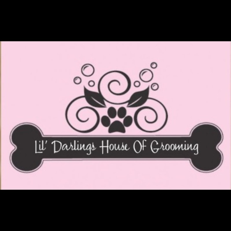 Accepting new clients today! Animal & Pet Services London Kijiji