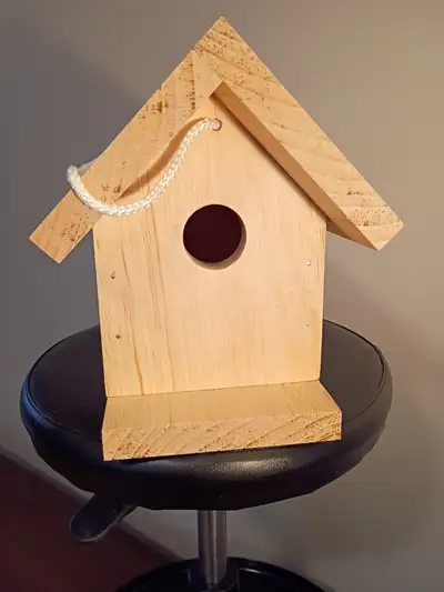 Birdhouse ready to paint by yourself or the kids. Everything included, cord, removable bottom for cl...