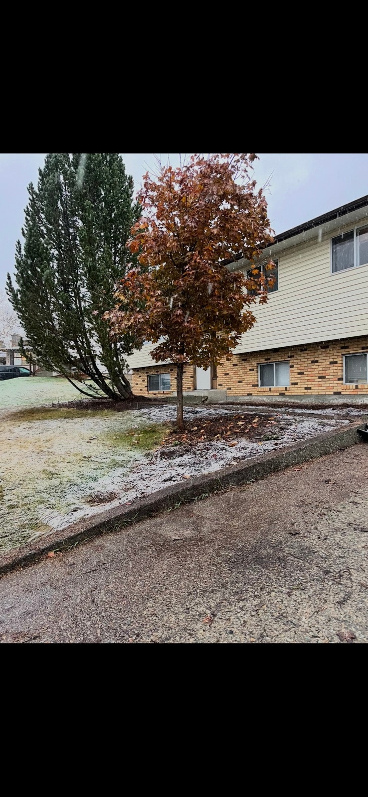 2 Bed 1 Bath upstairs for rent 1