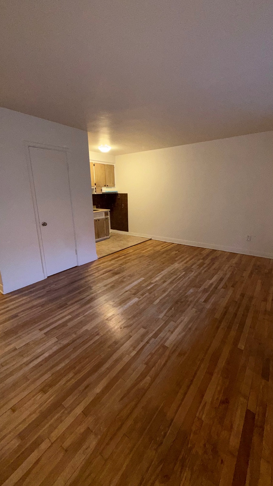 Logement 1 et ½ dans le Sud-Ouest de Montréal — photo 2