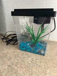 Aquarium pour beta