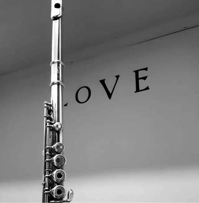 Flute Lessons Online569246278788720643
