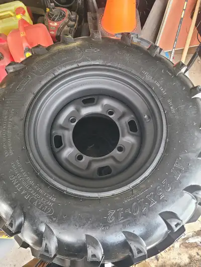 2 Brand new rims and wheels, never been mounted. I ordered for atv but shipper sent wrong item