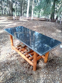 Granite and log table