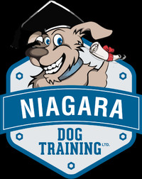GROUP DOG TRAINING CLASSES $50 OFF