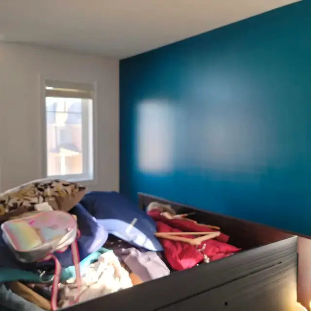 PAINTER SERVICE 63581888888451122
