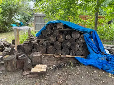 Bass wood dry, View more