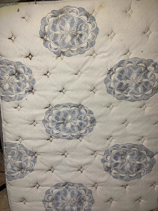 Vintage Queen Sized Serta Mattress in Beds & Mattresses in St. Albert