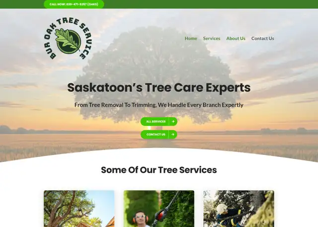 Saskatoon Website Design & Build518967631681300481