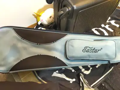 Beautiful violin just going to need it comes with case and $100 is what I'm asking if you're interes...