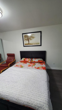 Walkout legal one bedroom fully furnished basement for rent 