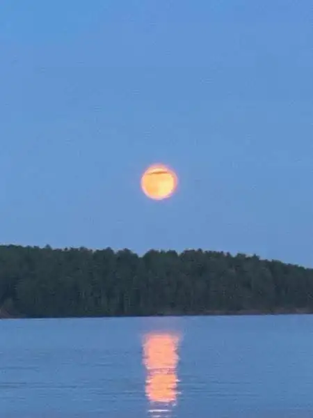 Smiths Luxury Lakefront Cottage Escape Near Algonqu in Ontario in Canada - Image 11