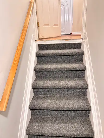 1 Bedroom Basement